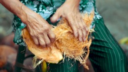 Defective Holiday �� ���������