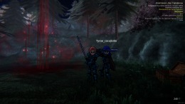 �������� ���� Duel Corp