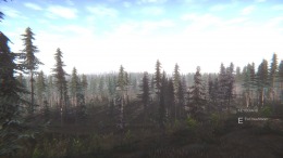 �������� ���� Mushroom Challenge