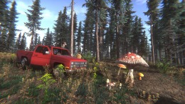 Mushroom Challenge �����