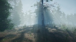 ����������� ���� Mushroom Picker Simulator