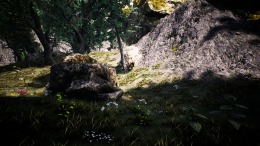 �������� My Name is Sarah