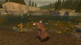 �������� ���� Open Season