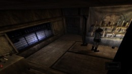 Project Zero��� PS2