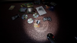 Pulang Insanity �� PC