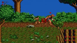 ����������� ���� Realms of Chaos