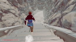 �������� SARE  Inception