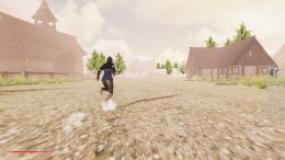 �������� ���� SARE  Inception