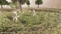 ����������� ���� SARE  Inception