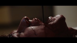 She Sees Red - Interactive Movie �����