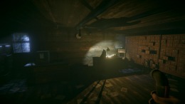 ����������� ���� Specimen 13