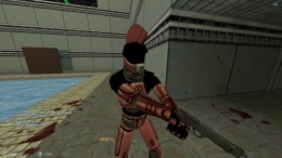 Sven Co-op �� PC