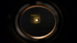 ����������� ���� The Renovator