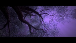 �������� There Was the Moon