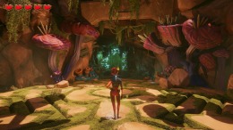 ������� Vogue, The Explorer