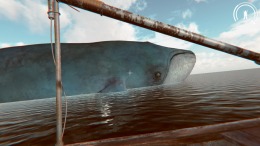 �������� ���� WAyE