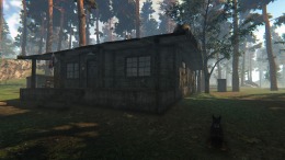 When They Arrived �����