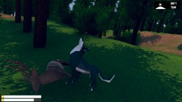 Wild Wolf �� ���������