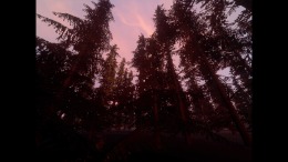 ����������� ���� Witch Stories