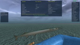 ������� Worldwide Sports Fishing