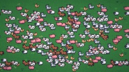 ������� Wrangle Ranch