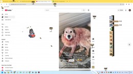 �������� Buzz Off!