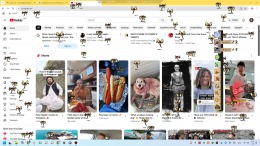 Buzz Off! �����