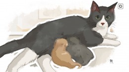 ����������� ���� Dear me, I was