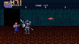 ������� Double Dragon Trilogy