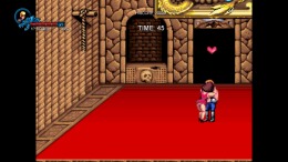 Double Dragon Trilogy �� PC