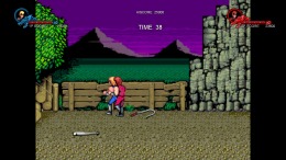 Double Dragon Trilogy �����