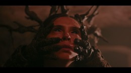 ������� Heart of the Forest