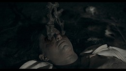 Heart of the Forest �����