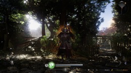 ������� Nioh 3
