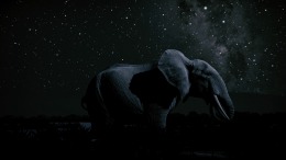 ������� Seclusa