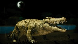 ������� ��� Seclusa