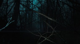 ������� The Strange Lights