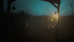 �������� ���� The Strange Lights