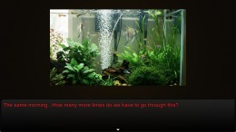 �������� ���� 8:00 AM : Still Morning