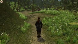 �������� ���� Caribbean Legend: Age of Pirates