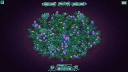 ����������� ���� Flourish