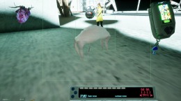 Mama's Sleeping Angels �����