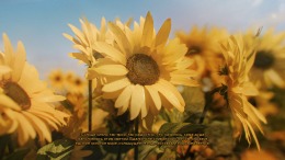 �������� ���� Mistbound