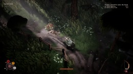 �������� Peregrino