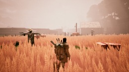 ����������� ���� Peregrino