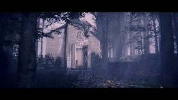 Project Songbird �����