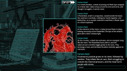 ����������� ���� Qelochia