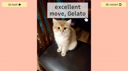 ������� Terry's Other Games