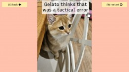 ����������� ���� Terry's Other Games