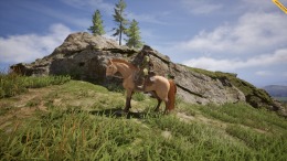 The Legend of Khiimori �� ���������